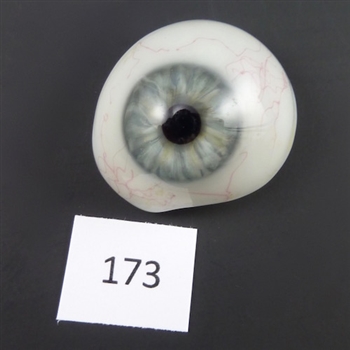 Antique Glass Eye #173