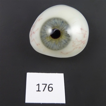 Antique Glass Eye #176