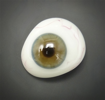 Antique Prosthetic Eye