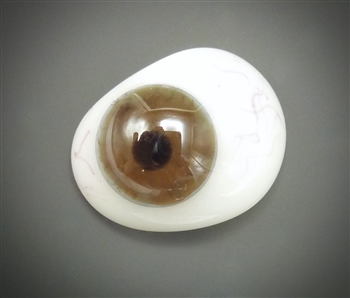 Antique Prosthetic Eye