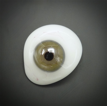 Antique Prosthetic Eye