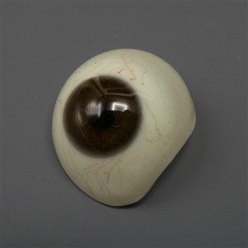 Antique Prosthetic Glass Eye, brown