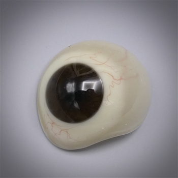 Antique Prosthetic Glass Eye #20