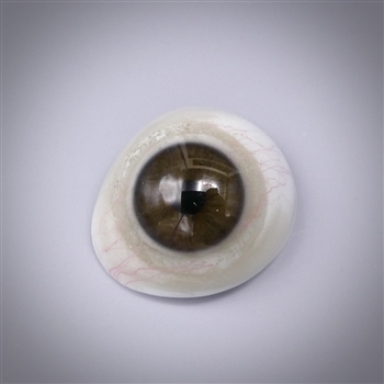 Antique Prosthetic Glass Eye #49