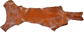 Ostrich leg leather hide, peanut color