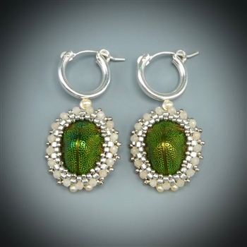 Scarab Beetle Earrings