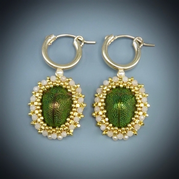 Scarab Beetle Earrings