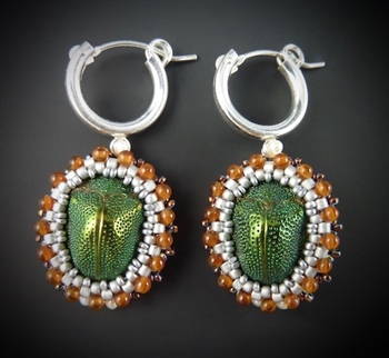 Scarab Beetle Earrings (pair #17)