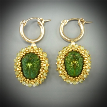 Scarab Beetle Earrings (pair #19)