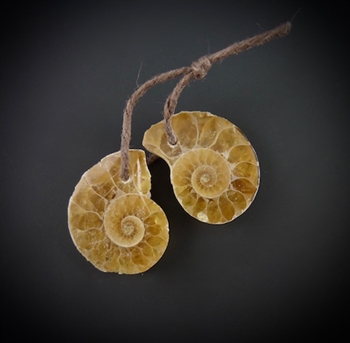 Fossil Ammonite drilled pair #1