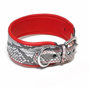 Python Collars & Leashes