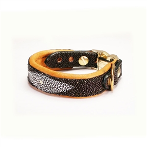 The Luxury Sting Ray Collar