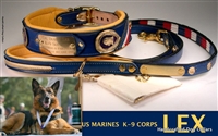 SPECIAL THEME COLLARS & LEASHES