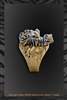 Tiger Ring "Tiger Got Your Stone" by wildlife artist jeweler Daniel C. Toledo, Toledo Wildlife Works of Art