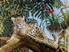 GICLEE PRINT "JAGUAR CUB AND THE HUMMINGBIRD"