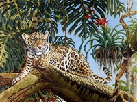 GICLEE PRINT "JAGUAR CUB AND THE HUMMINGBIRD"