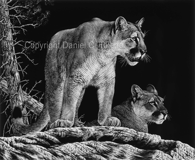 SCRATCHBOARD PRINT "MATES OF THE WILD"