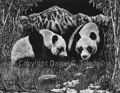 SCRATCHBOARD PRINT "A GENTLE APPROACH"