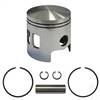 EZGO Piston and Ring Assembly, Standard Size         