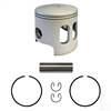 Yamaha G1 Piston and Ring Assembly, +.25mm                                                      