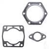 EZGO 2-cycle Gasket Set