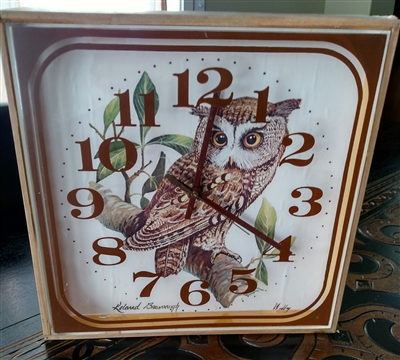 Welby Owl wall clock battery operated novelty