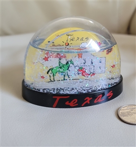 Texas subway snow globe vintage collectible decor