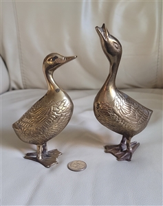 Large Brass ducks display in aged gold color India