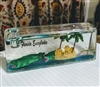 Florida lucite water globe and pen holder