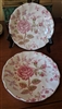 Rose Chintz Pink two saucers Johnson Bros England