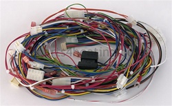 Teledyne Laars 2400-443 Wiring Harness, EBP