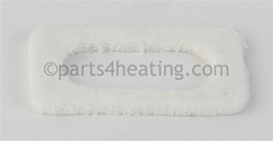 Pentair 42001-0066S Gasket Ignitor SVC