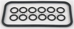 Pentair 77707-0120 O-Ring Kit Manifold/Tube