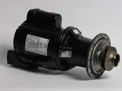 Teledyne Laars RA2001700 B&G Pump 1/3 h.p. 3-1/4, A0047100, A0068000, A2001700