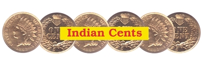 brilliant uncirculated indian cents