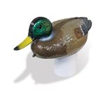 PoolMaster Clori-duck Mallard Chlorine Dispenser # 32130