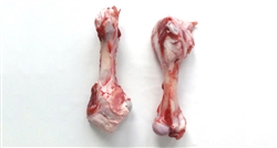 Lamb Femur Bones Whole [25# Case]