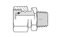 Female DIN Swivel Light  X Male NPT