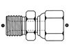 SS-9015 Stainless British Fittings