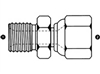 SS-9021 Stainless British Fittings