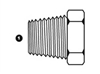 Stainless BSP Fitting