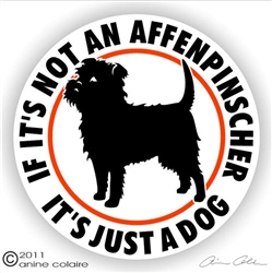 Affenpinscher Decal