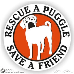 Puggle Decal