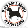 Beagle Window Decal