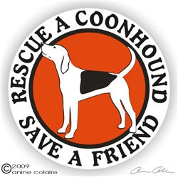 Coonhound Decal