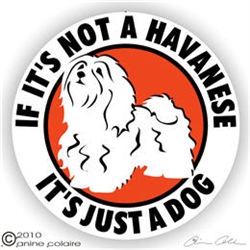 Havanese Decal