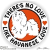 Havanese Decal