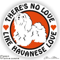 Havanese Decal