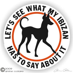 Ibizan Hound Decal