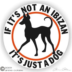 Ibizan Hound Decal